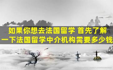 如果你想去法国留学 首先了解一下法国留学中介机构需要多少钱